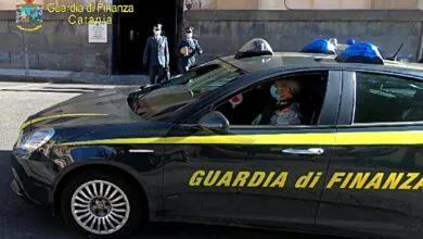 دخل المواطنة