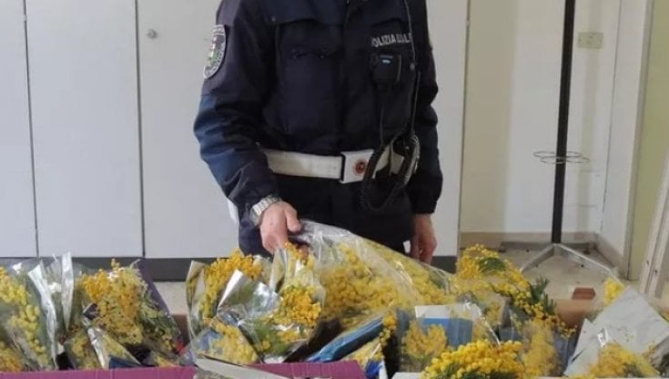 5 آلاف يورو فرضتها الشرطة الإيطالية على مغربي يبيع الورود
