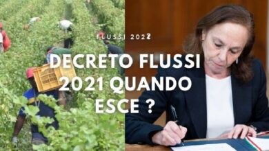 decreto flussi 2022